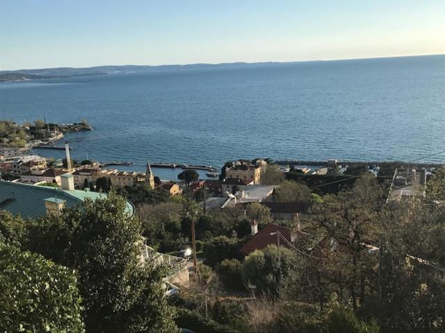Trieste Sea Life Bagian luar foto
